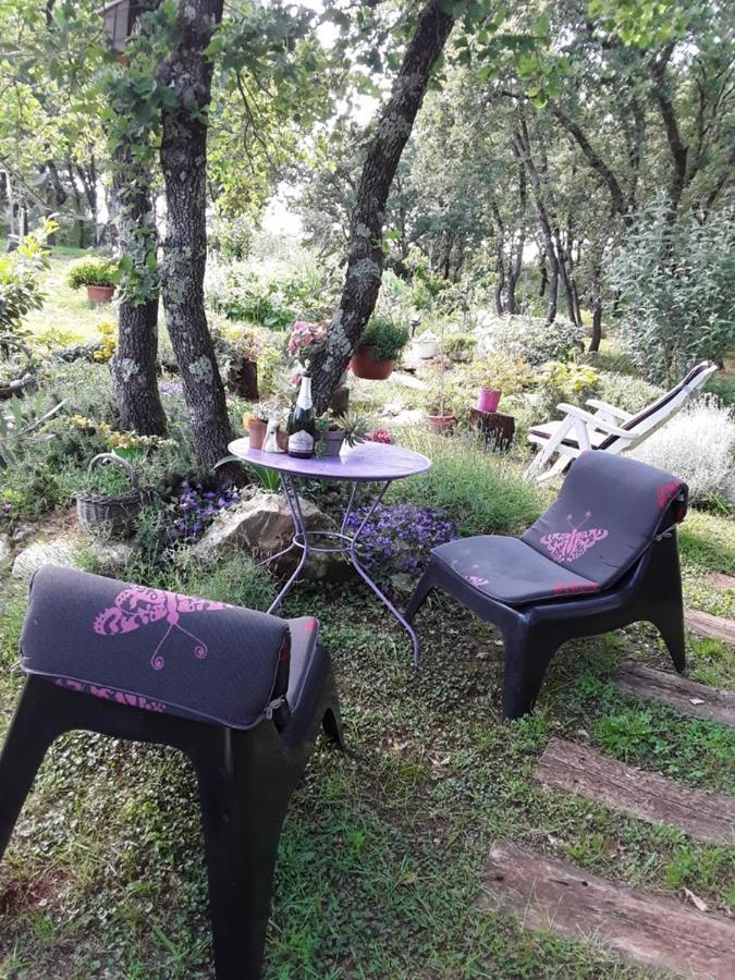 Apartments Bijou With Big Private Garden Near Umag Vilanija Zewnętrze zdjęcie