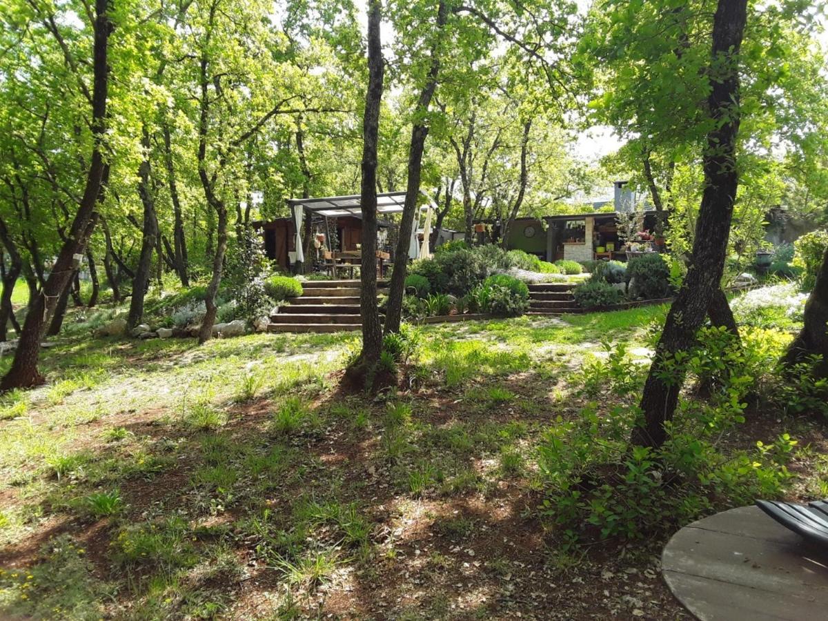 Apartments Bijou With Big Private Garden Near Umag Vilanija Zewnętrze zdjęcie